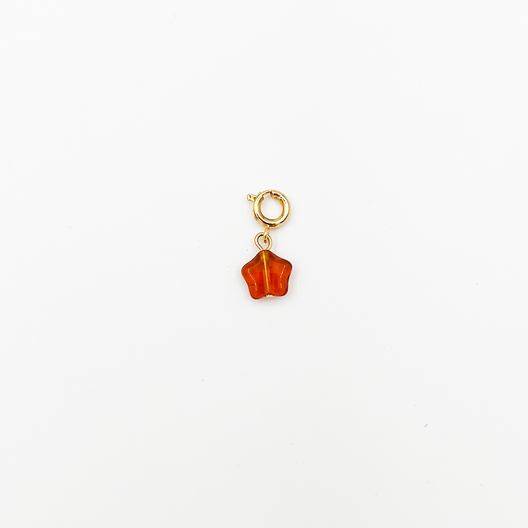 CHARM_06