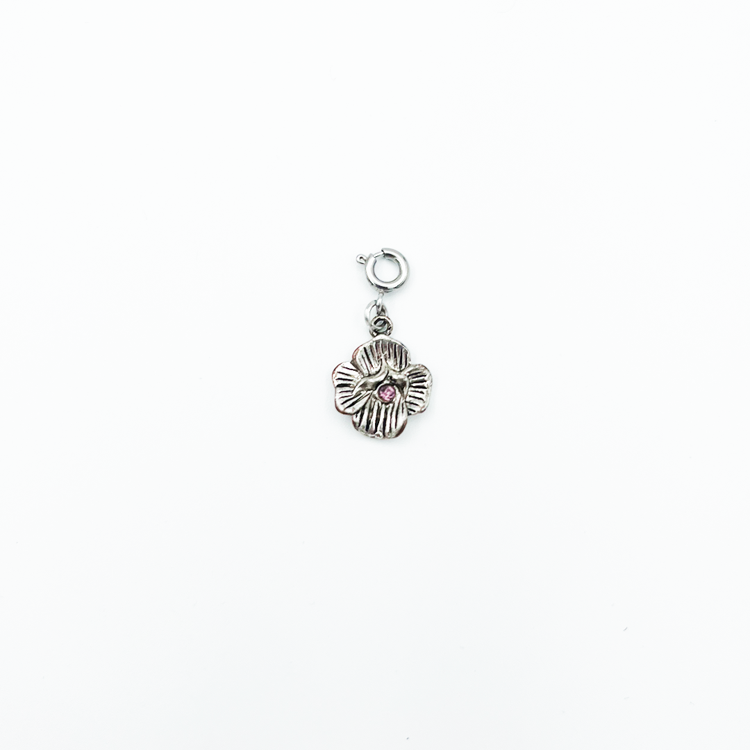 CHARM_46