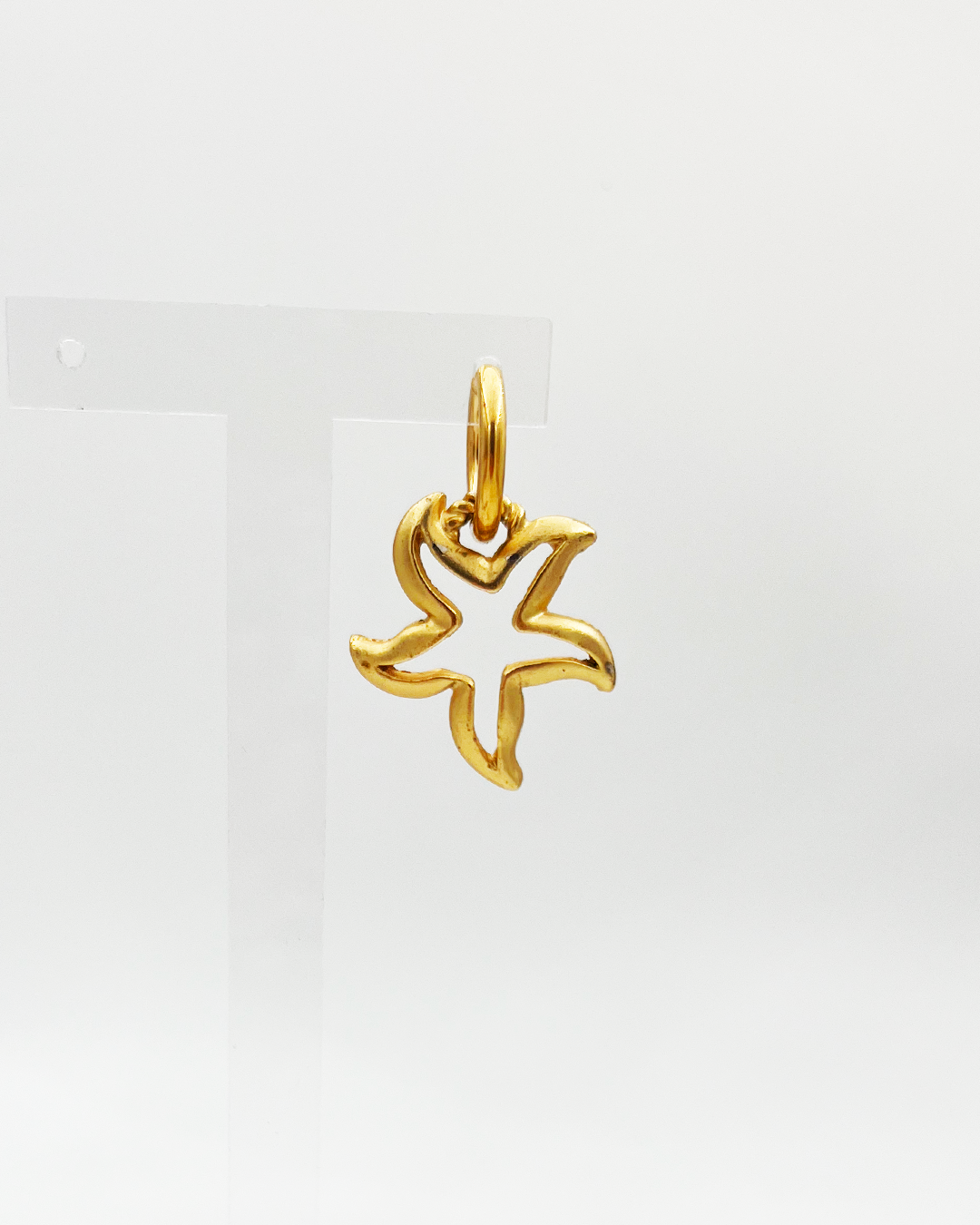 BOUCLE_STARFISH