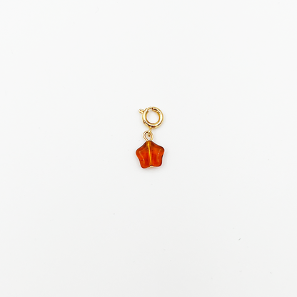 CHARM_06