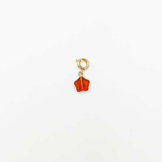 CHARM_06