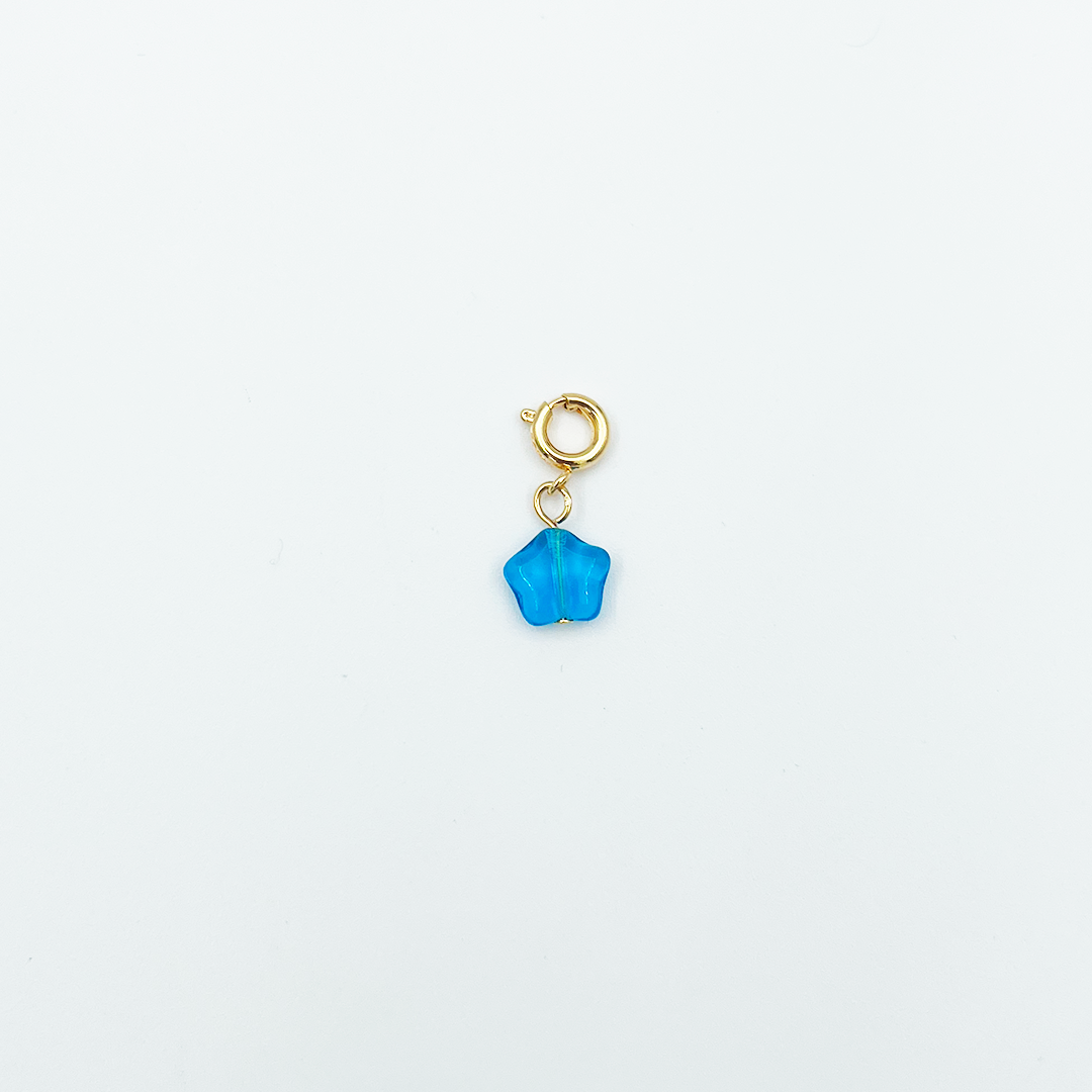 CHARM_17