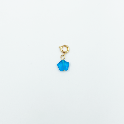 CHARM_17