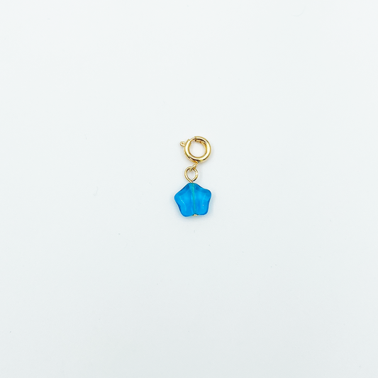 CHARM_17