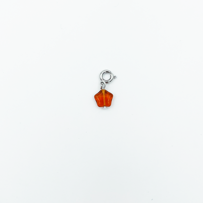 CHARM_07