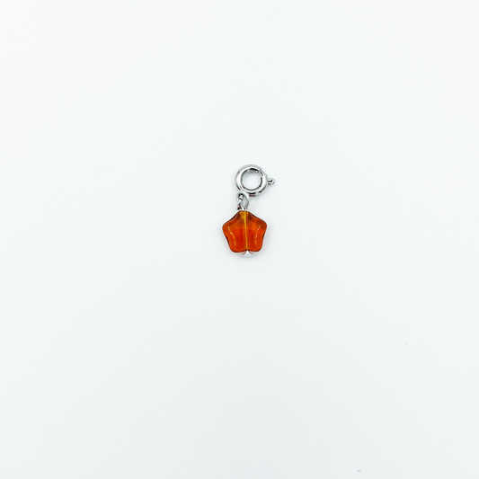 CHARM_07