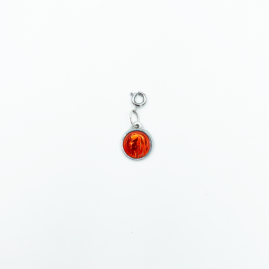 CHARM_39