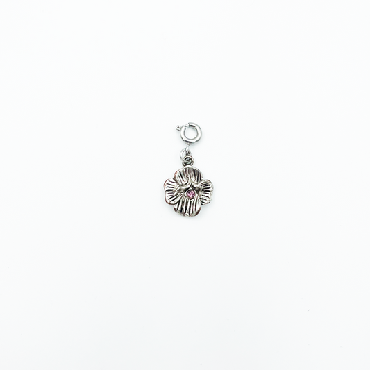 CHARM_46