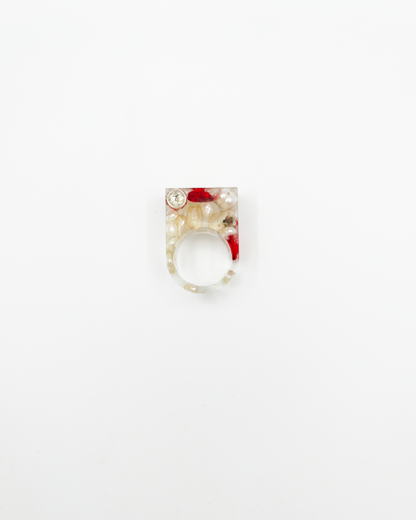 BAGUE_027