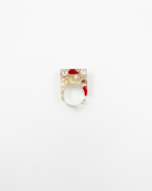 BAGUE_027