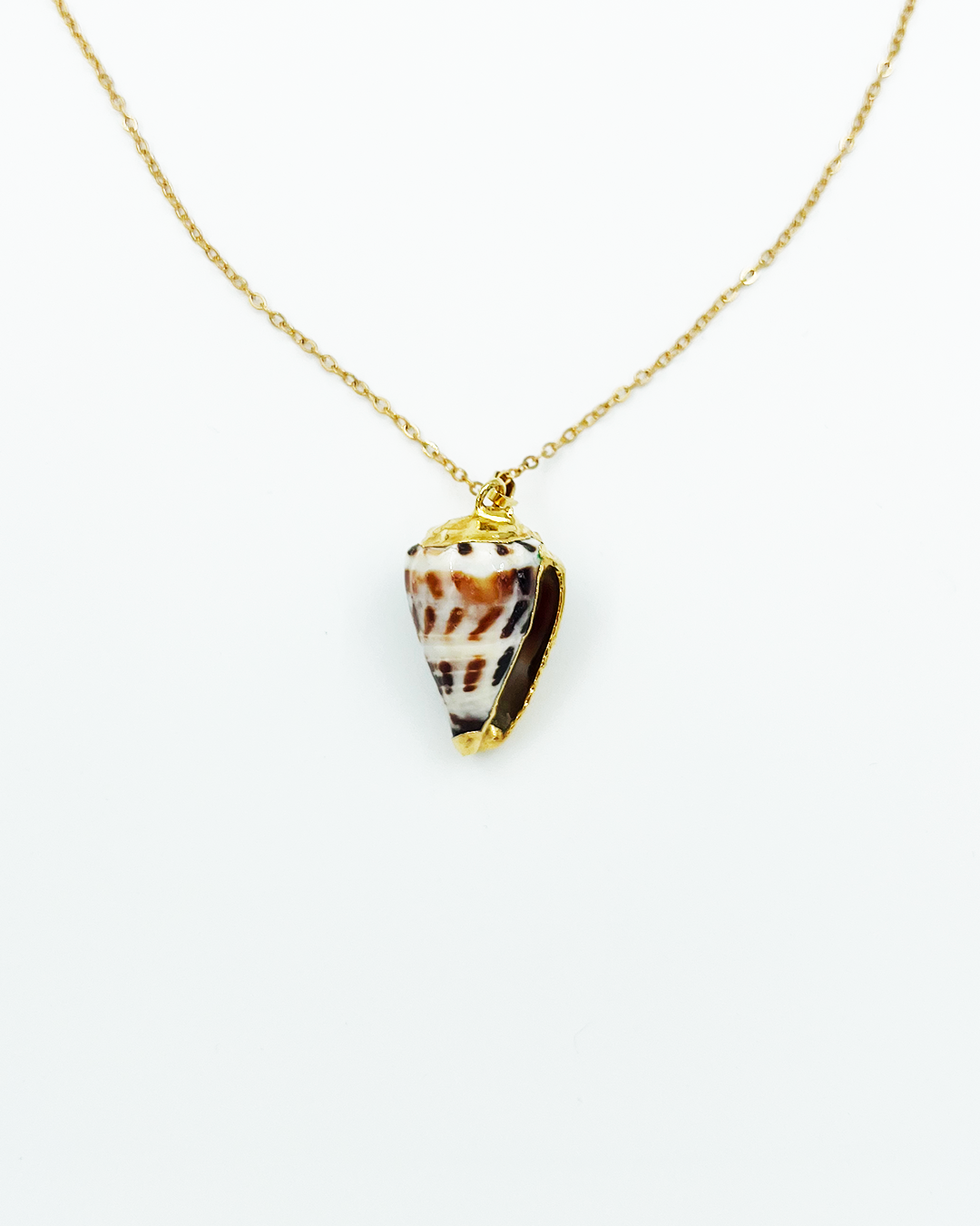 COLLIER_SHELL