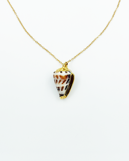 COLLIER_SHELL