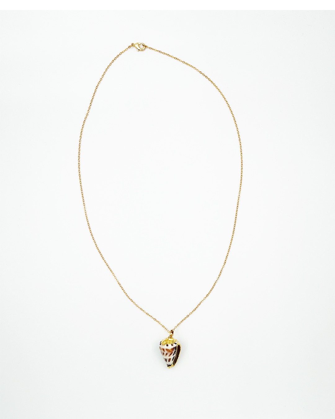 COLLIER_SHELL