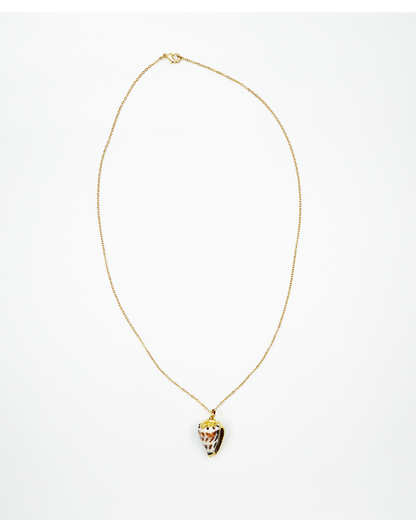 COLLIER_SHELL