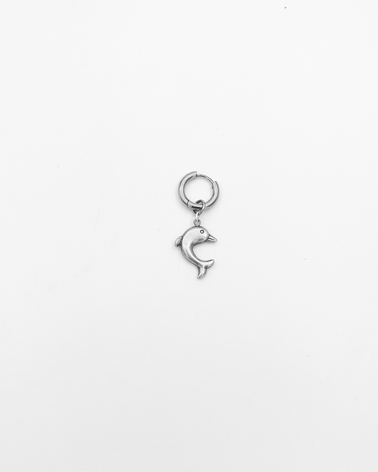 BOUCLE_DAUPHIN 3