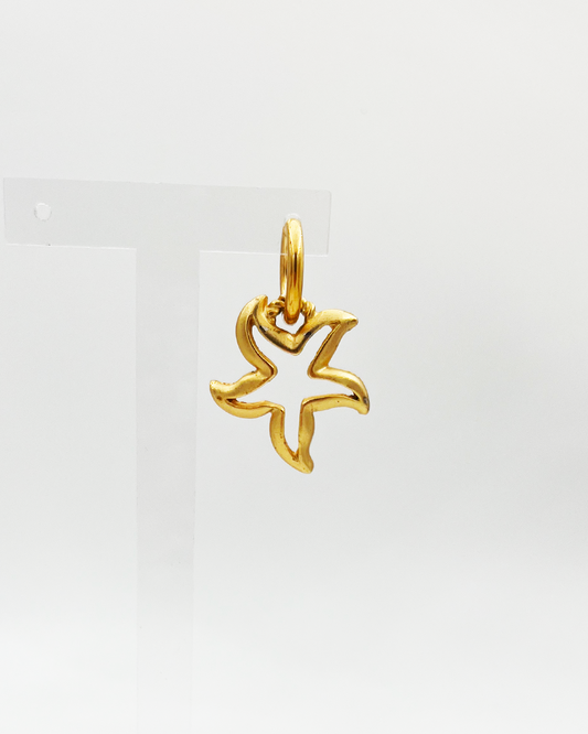 BOUCLE_STARFISH