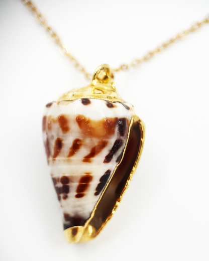 COLLIER_SHELL