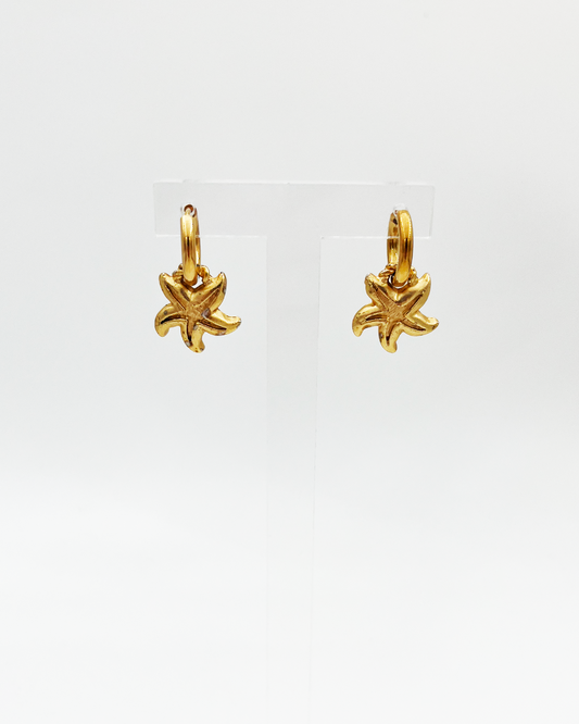 PAIRE DE BOUCLES_STARFISH