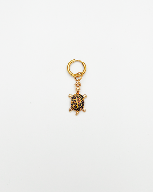 BOUCLE_TORTUE